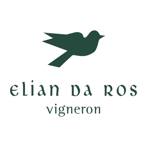 Elian da Ros