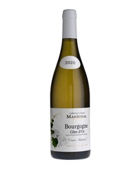 [WFBGWJM0218] Bourgogne Cuvée Antoine